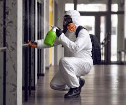 Why You Should Choose Our Mold Remediation Services in Lake Holiday, IN